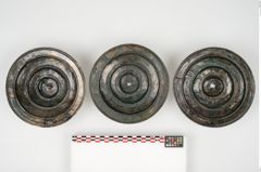 Foto von Bronzephalere (NHMW-PRAE-025641)